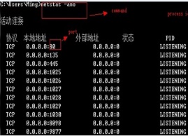 要如何解决电脑出现服务器8080端口无法访问的问题?
