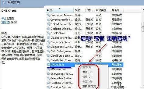 DNS Client DNS Client