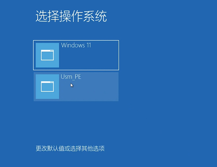 选择usm_pe启动项 选择usm_pe启动项